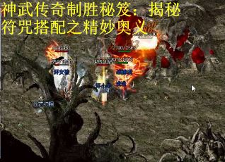 神武传奇制胜秘笈：揭秘符咒搭配之精妙奥义